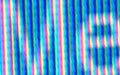 First ARP Website